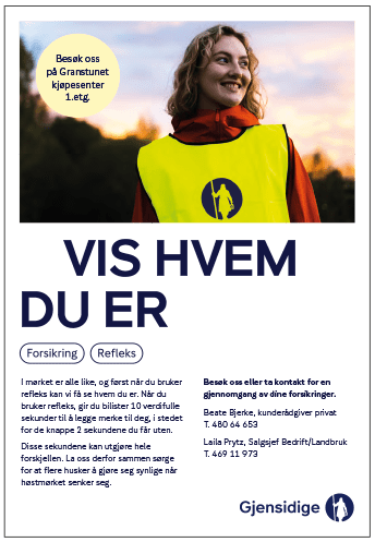 Informasjon Gjensidige